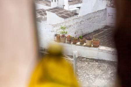 Vista Mozzafiato Sul Mare, Suite Di Lusso - Ostuni Exterior foto
